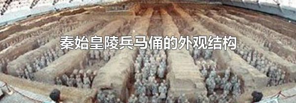 秦始皇陵兵马俑的外观结构