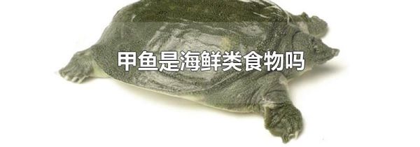 甲鱼是海鲜类食物吗