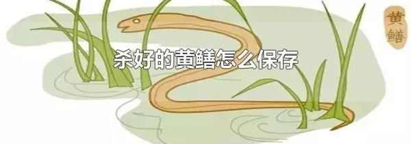 杀好的黄鳝怎么保存