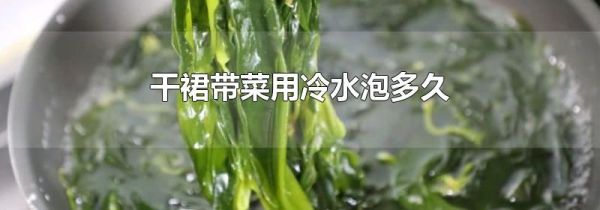 干裙带菜用冷水泡多久
