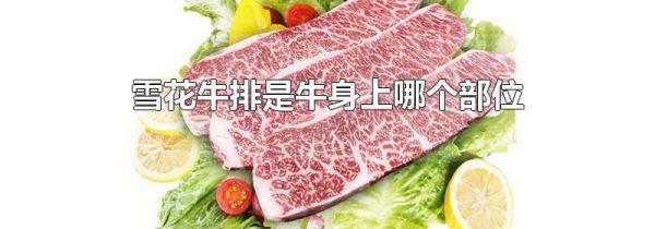 雪花牛排是牛身上哪个部位