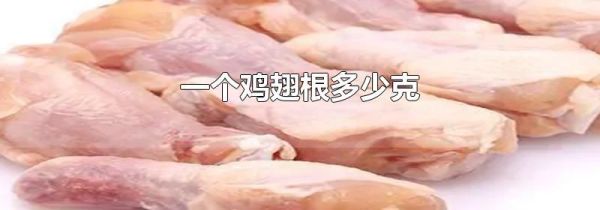 一个鸡翅根多少克