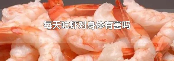每天吃虾对身体有害吗