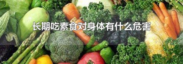 长期吃素食对身体有什么危害
