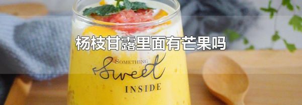 杨枝甘露里面有芒果吗