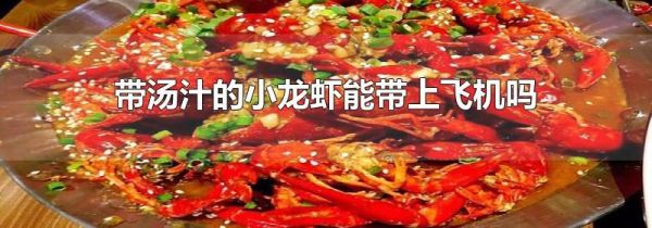 带汤汁的小龙虾能带上飞机吗