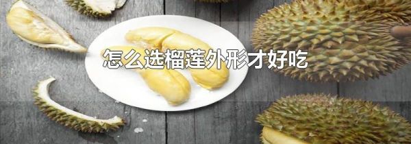 怎么选榴莲外形才好吃