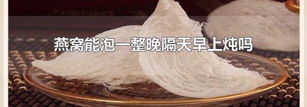 燕窝能泡一整晚隔天早上炖吗