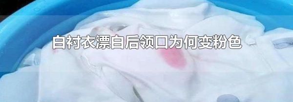 白衬衣漂白后领口为何变粉色