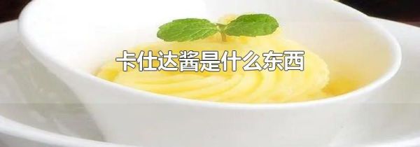 卡仕达酱是什么东西