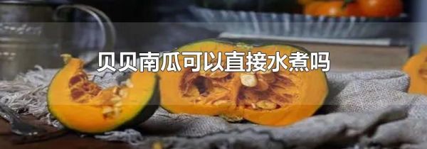 贝贝南瓜可以直接水煮吗