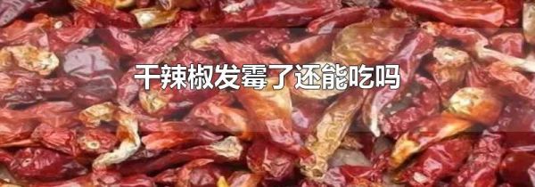 干辣椒发霉了还能吃吗