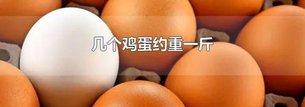 几个鸡蛋约重一斤