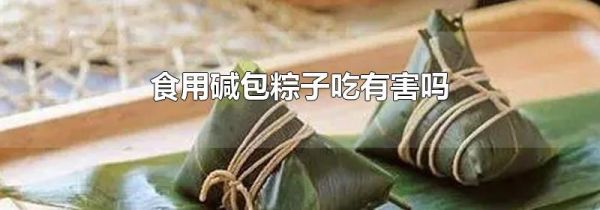 食用碱包粽子吃有害吗