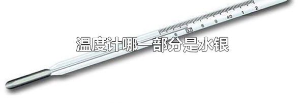 温度计哪一部分是水银
