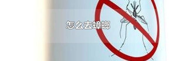 怎么去蟑螂