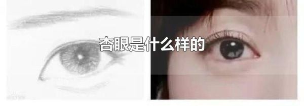 杏眼是什么样的
