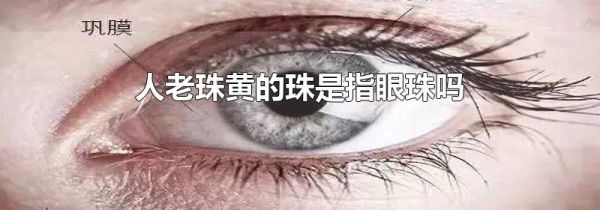 人老珠黄的珠是指眼珠吗
