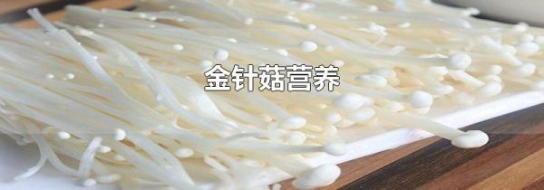 金针菇营养
