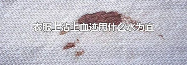 衣服上沾上血迹用什么水为宜
