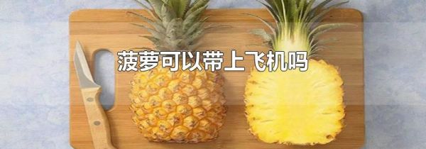 菠萝可以带上飞机吗