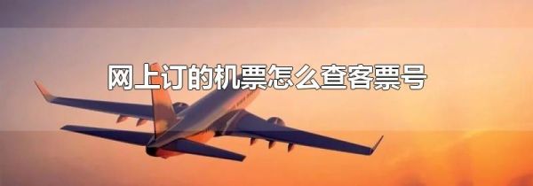 网上订的机票怎么查客票号