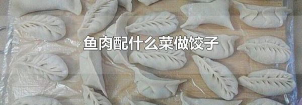 鱼肉配什么菜做饺子