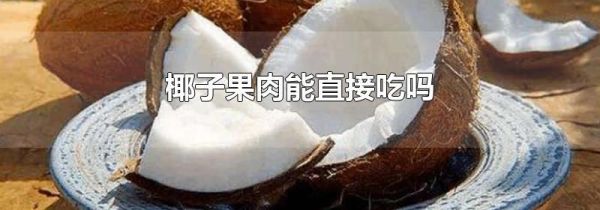 椰子果肉能直接吃吗