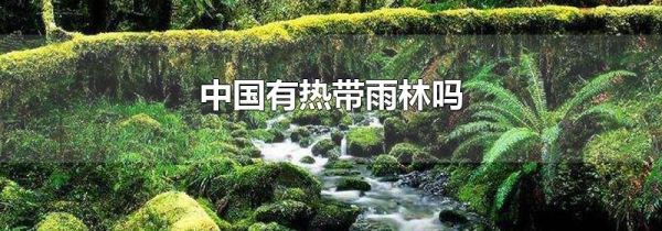 中国有热带雨林吗