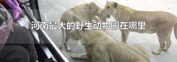 河南最大的野生动物园在哪里
