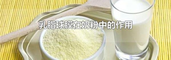 乳脂球膜在奶粉中的作用