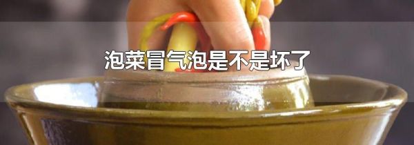 泡菜冒气泡是不是坏了