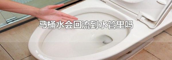 马桶水会回流到水管里吗