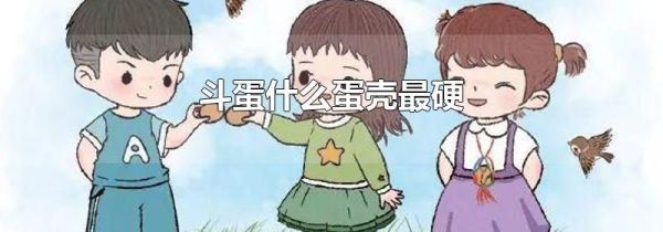 斗蛋什么蛋壳最硬