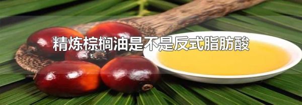 精炼棕榈油是不是反式脂肪酸