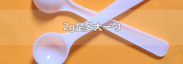 2g是多大一勺