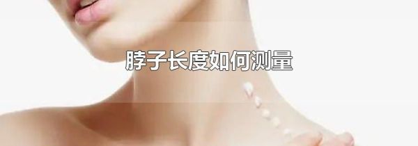 脖子长度如何测量
