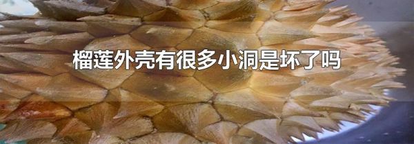 榴莲外壳有很多小洞是坏了吗