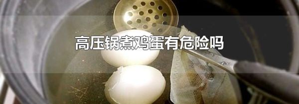 高压锅煮鸡蛋有危险吗