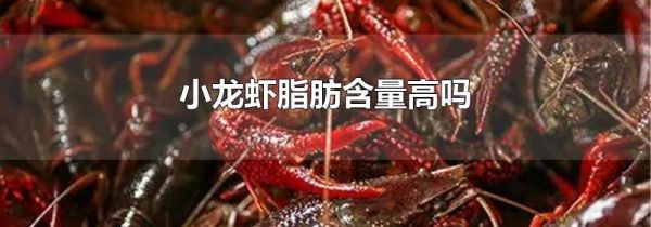 小龙虾脂肪含量高吗