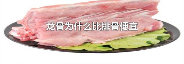龙骨为什么比排骨便宜