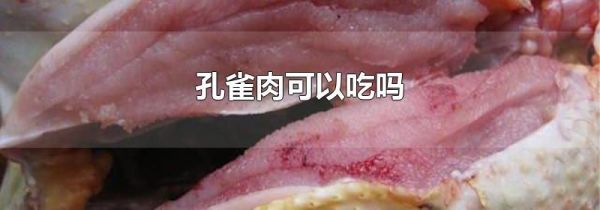 孔雀肉可以吃吗