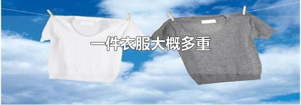 一件衣服大概多重