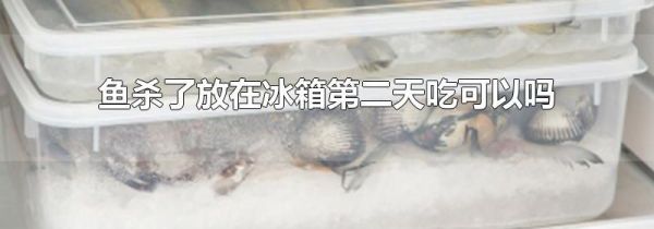 鱼杀了放在冰箱第二天吃可以吗
