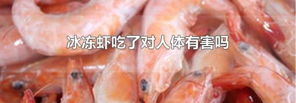 冰冻虾吃了对人体有害吗