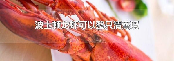 波士顿龙虾可以整只清蒸吗