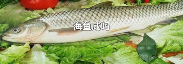 海鱼咸吗