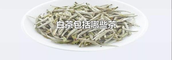 白茶包括哪些茶