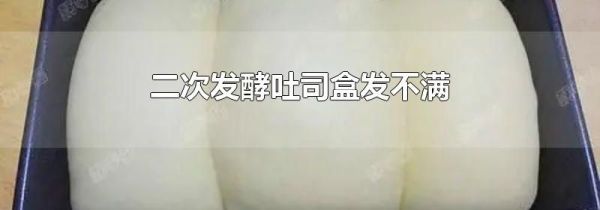 二次发酵吐司盒发不满