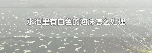 水池里有白色的泡沫怎么处理